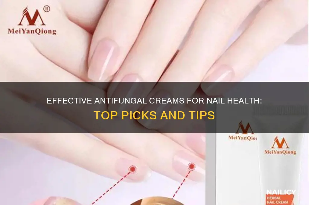 what is the best antifungal cream for nails