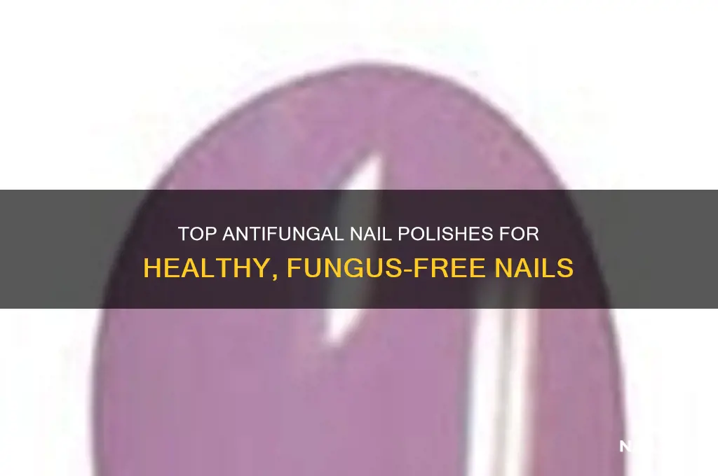 what is the best antifungal nail polish