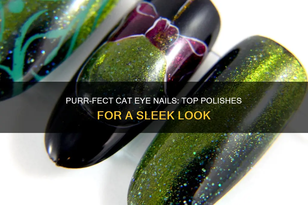 what is the best cat eye nail polish
