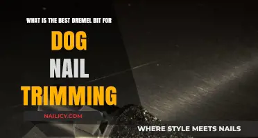 Dremel Bits: Trimming Dog Nails Safely and Effectively