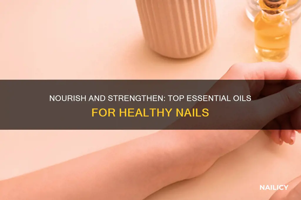 what is the best essential oil for nails