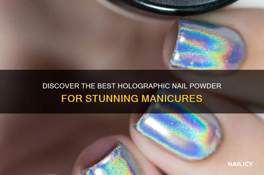 what is the best holographic nail powder