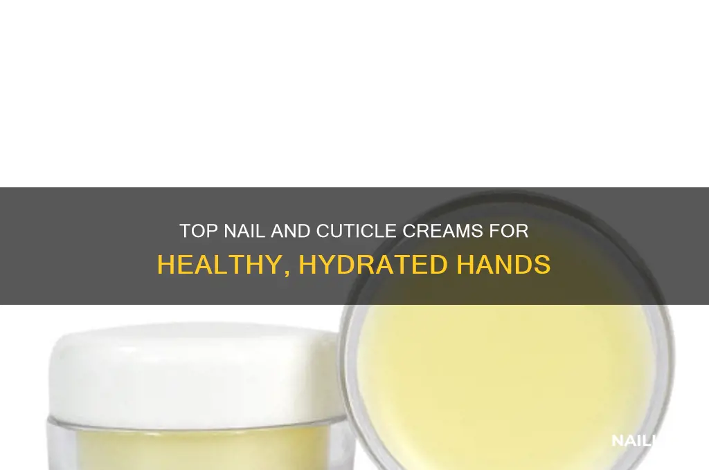 what is the best nail and cuticle cream