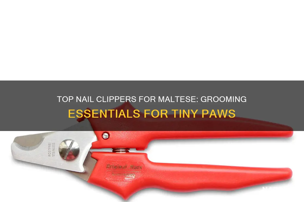 what is the best nail clippers for maltese