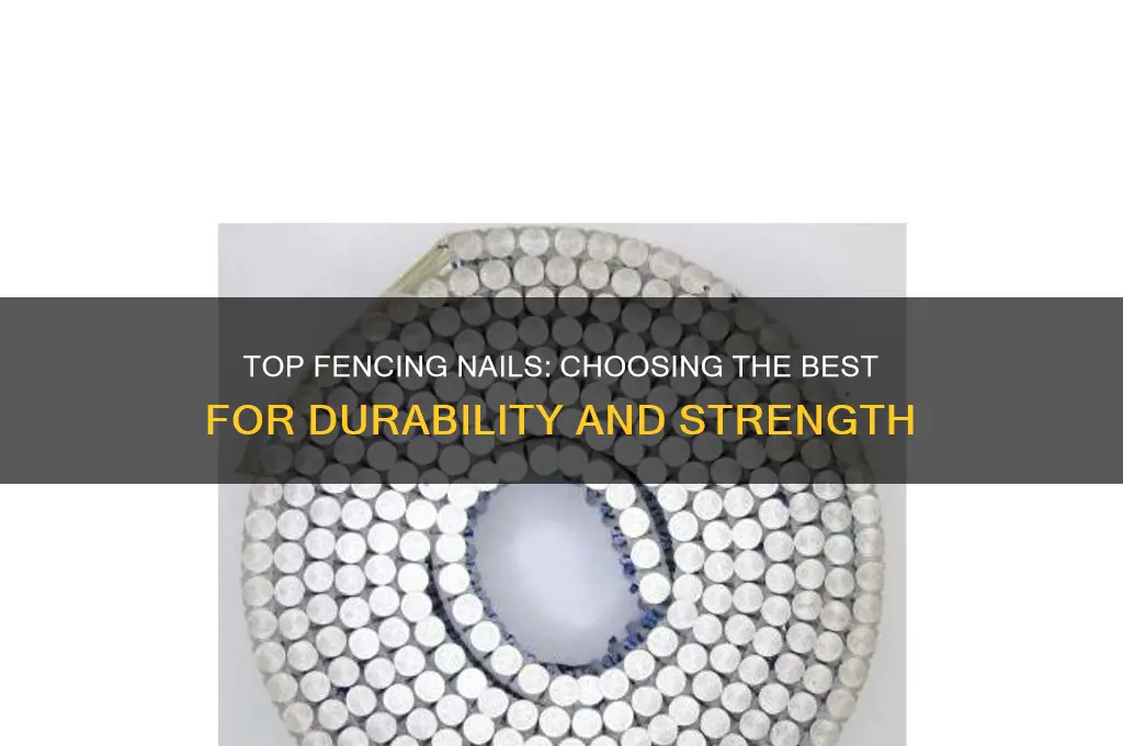 what is the best nail for fencing
