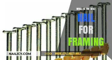 Top Framing Nails: Choosing the Best for Strong, Durable Construction