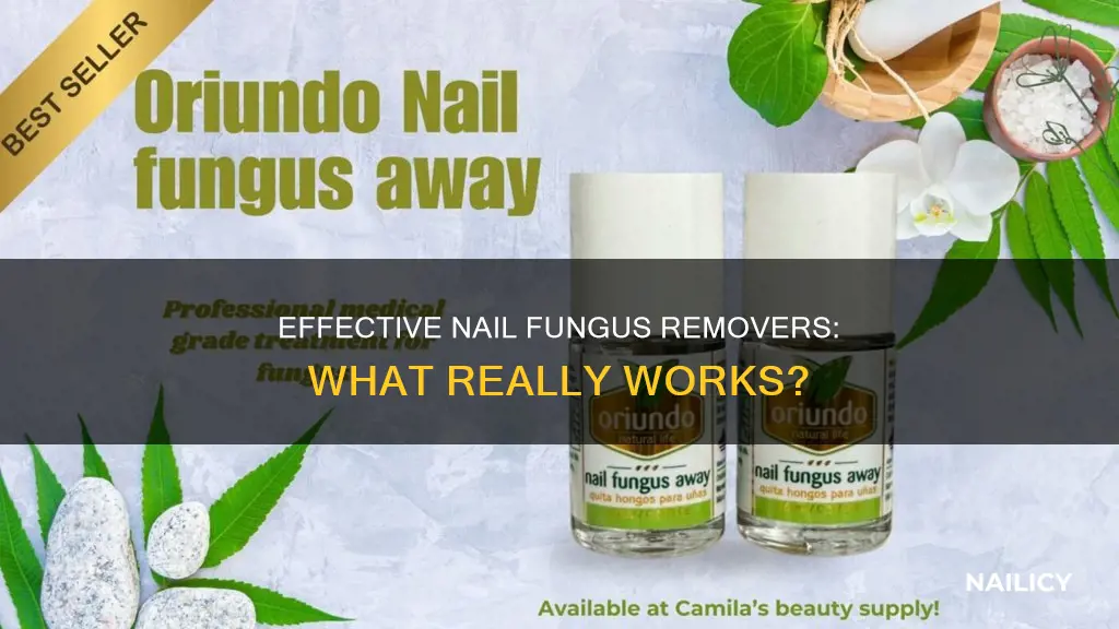 what is the best nail fungus remover