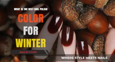 Winter's Hottest Nail Polish Colors to Keep You Cozy and Chic