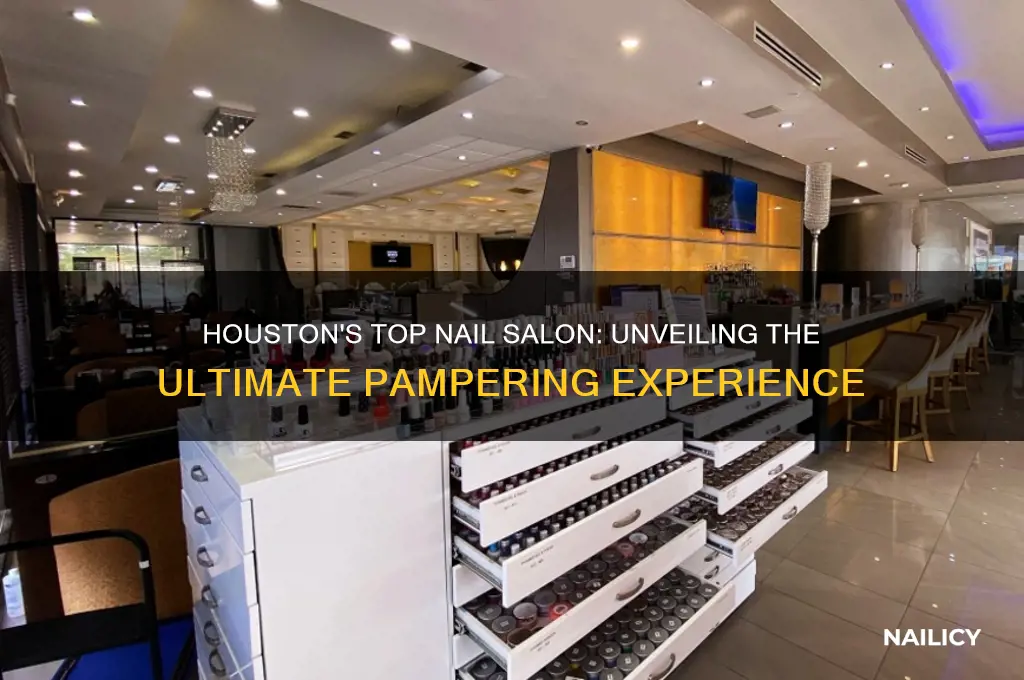 what is the best nail salon in houston
