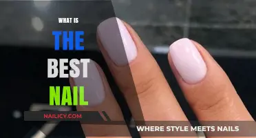 Discover the Perfect Nail: Types, Uses, and Top Recommendations