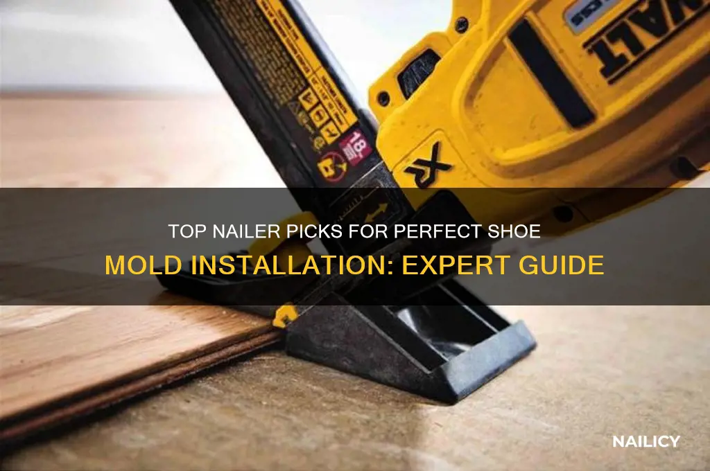 Shoe Mold Installation Cost