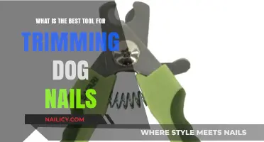 Trimming Dog Nails: The Best Tool for the Job
