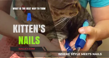 Trimming Kitten Nails: A Step-by-Step Guide for New Owners