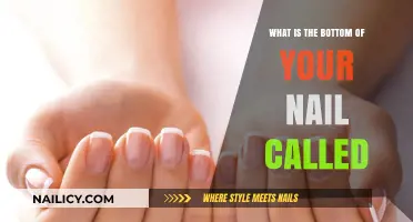 Unveiling the Mystery: What's the Bottom of Your Nail Called?
