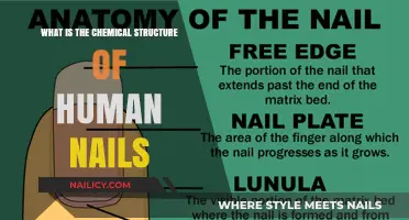 Unveiling the Complex Chemical Composition of Human Nail Structure