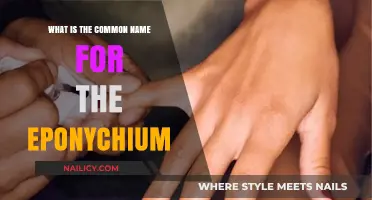 Understanding the Eponychium: The Common Name for This Nail Structure