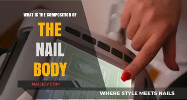 Understanding the Nail Body: Layers, Structure, and Composition Explained