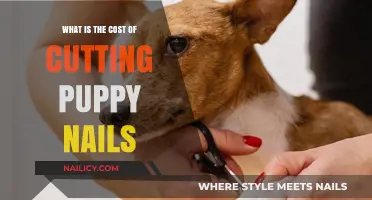 Puppy Nail Trimming: Cost and Care