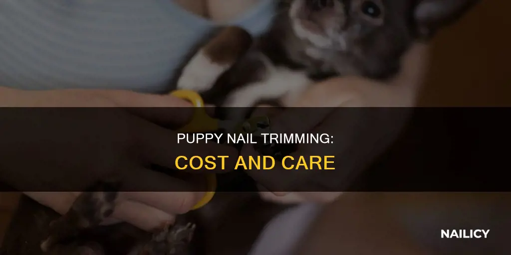 what is the cost of cutting puppy nails