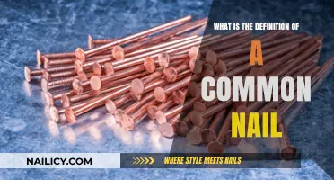 Understanding Common Nails: Definition, Uses, and Key Characteristics