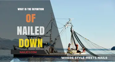 Understanding the Phrase: What Does 'Nailed Down' Really Mean?
