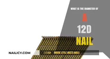 Understanding 12D Nail Diameter: Sizes, Uses, and Practical Applications