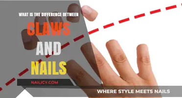 Claws vs. Nails: Understanding the Key Differences and Functions
