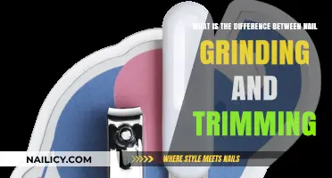 Nail Grinding vs Trimming: Pros, Cons, and Pet Care