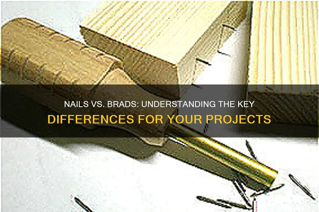 what is the difference between nails and brads