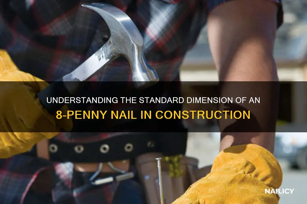 what is the dimension of 8 nail