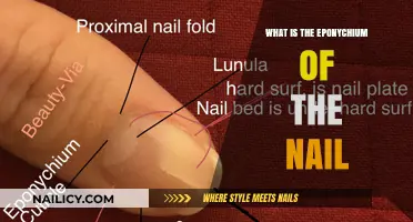 Understanding the Eponychium: The Nail's Protective Cuticle Barrier Explained