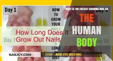 Which Nail Grows Fastest: Exploring Human Nail Growth