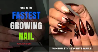 The Fastest-Growing Nail: Which One and Why?