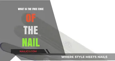Understanding the Free Edge: A Crucial Part of Your Nail Anatomy