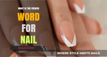 Discover the French Word for Nail: A Quick Language Lesson