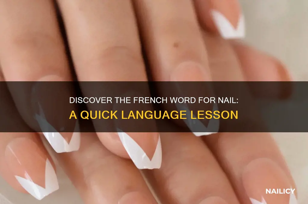 what is the french word for nail