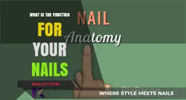 Unveiling the Surprising Functions of Your Nails: Beyond Beauty and Grooming