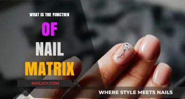 Understanding the Nail Matrix: Its Vital Role in Nail Growth and Health