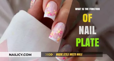 Understanding the Nail Plate: Its Vital Role and Function Explained