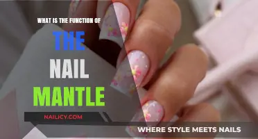 Understanding the Nail Mantle: Its Vital Role in Nail Health