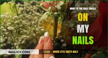 Understanding the Half-Moon Shape on Your Fingernails: Causes and Meaning