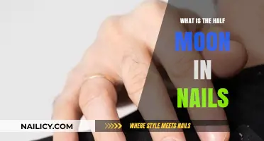Understanding the Half Moon Shape on Your Fingernails: A Guide