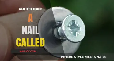 Understanding Nail Anatomy: What’s the Head of a Nail Called?