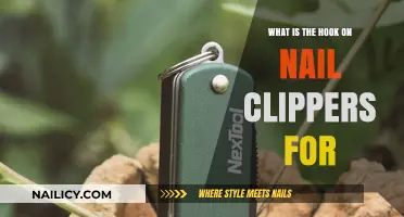 The Hidden Purpose of the Hook on Nail Clippers Explained