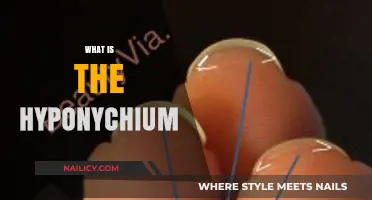 Understanding the Hyponychium: A Crucial Part of Your Fingernail Anatomy