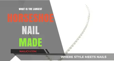 The World's Largest Horseshoe Nail: A Monumental Craftsmanship Marvel