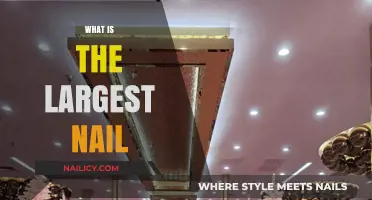 Exploring the World's Largest Nail: Size, History, and Uses