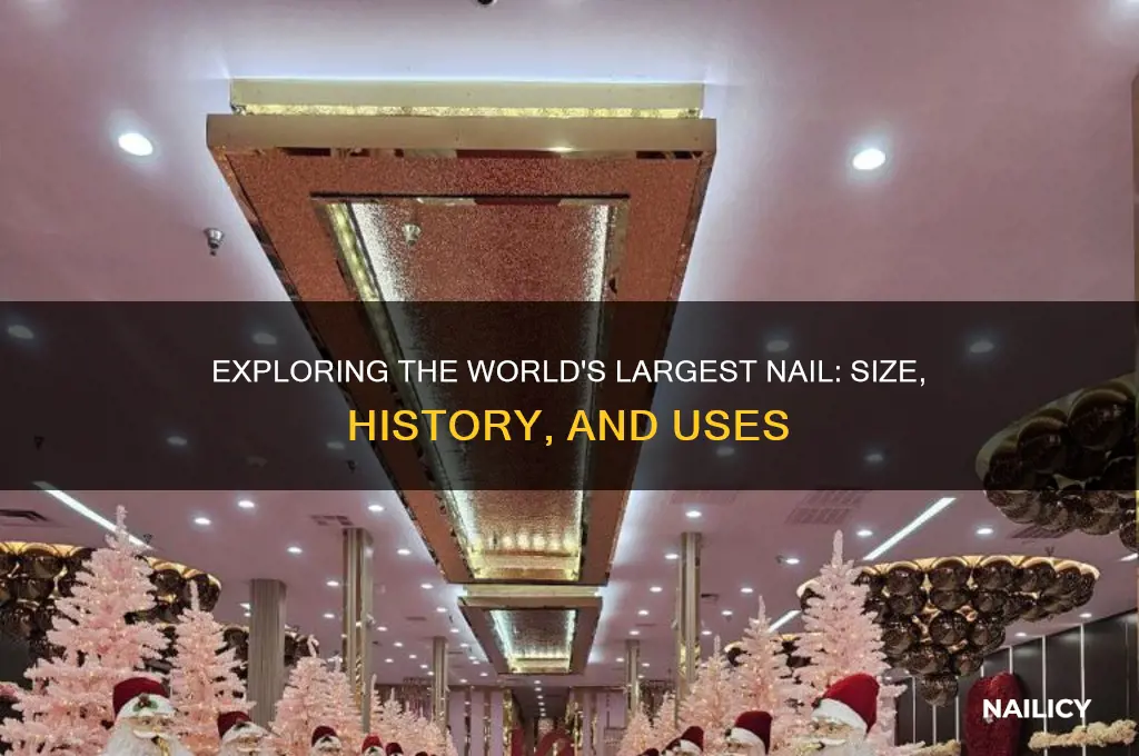 what is the largest nail