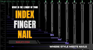 The Surprising Answer to the Length of Your Index Finger Nail