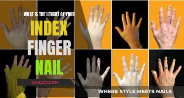 The Intriguing Index: Fingernail Lengths and Their Secrets